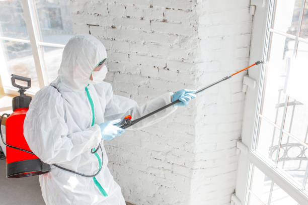 Best Asbestos and Lead Testing During Mold Inspection  in Glenside, PA